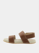 Holkas - Brown